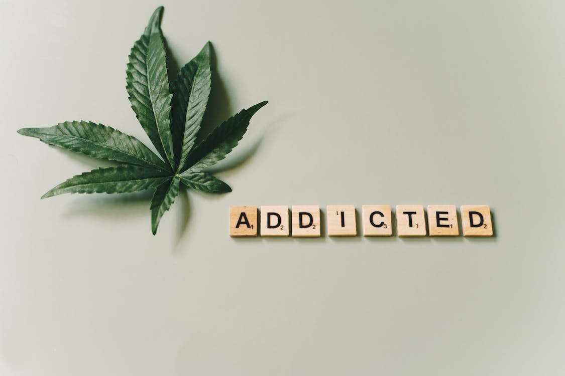 Read more about the article The Role of Purpose in Addiction Recovery and Personal Growth